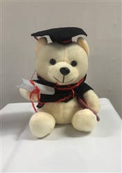 Graduation Teddy Bear