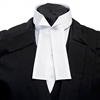 Winged Collar Shirt Cover