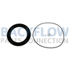 Watts Backflow Rubber Parts (for one check) - 10" RK 709 RC4