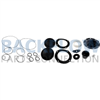 Febco Backflow Prevention Complete Check and RV Rubber Kit - 6" 860