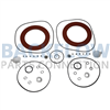 Febco Backflow Prevention Check rubber kit