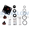 Complete Internal Parts Kit