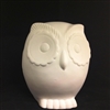 Bisque Owl Bankable (Unpainted, ready for glaze)