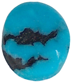 Oval Turquoise cabochon (8x10mm) (1pc)