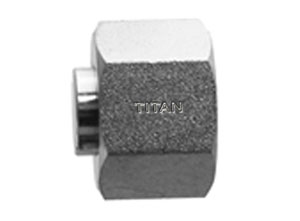 SS-9033 BSPP Fitting sold by Titanfittings.com