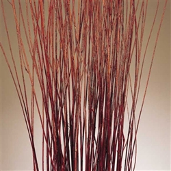 Asian Willow, Brown