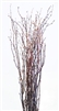 Birch twig, 3-4 ft, case of four bunches(shipping included!)