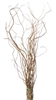 Curly Willow Branches, (case of 10, shipping included!)