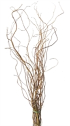 Curly Willow Branches, (case of 6, shipping included!)