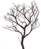Natural Red Manzanita Branches, 18", (case of 2 shipping included!)