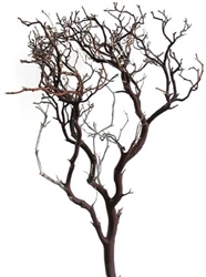 Natural Red Manzanita Branches, 24" tall, (case of 4 shipping included!)