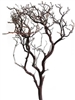 Natural Red Manzanita Branches, 24" tall, (case of 6, Shipping Included!)