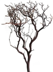 Natural Red Manzanita Branches, 24" tall, (case of 6, Shipping Included!)