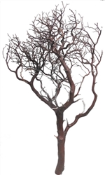 Natural Red Manzanita Branches, 42" Tall