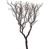 Natural Red Manzanita, 60" (case of 5)