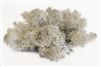 Reindeer Moss, natural color