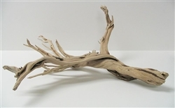 Sandblasted Ghostwood (California Driftwood), 10-12", case of fifteen (shipping included!)