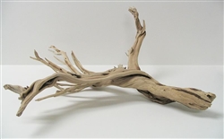 Sandblasted Ghostwood (California Driftwood), 10-12", case of two (shipping included!)