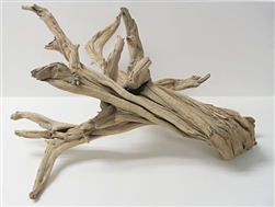 Sandblasted Ghostwood (California Driftwood), 14-16"