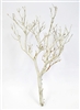 Sandblasted Manzanita, 18 in tall (case of 25, shipping included!)