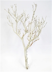 Sandblasted Manzanita Branches, 18" tall, (case of 12, shipping included!)