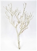 Sandblasted Manzanita Branches, 18" tall, (case of 4, shipping included!)