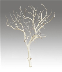 Sandblasted Manzanita Branches, 24" tall