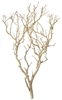 Sandblasted Manzanita Branch, 30" tall, (case of 6, shipping included!)