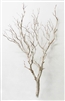 Sandblasted Manzanita Branches, 36"