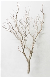 Sandblasted Manzanita Branches, 42" tall