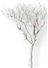 Sandblasted Manzanita Tree, 84"