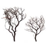 Natural Red Manzanita Sample Pack, 18' and 24"