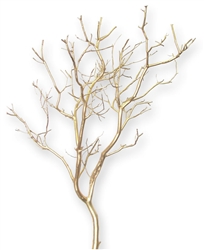 Gold Metallic Manzanita Branches, 18"-24"