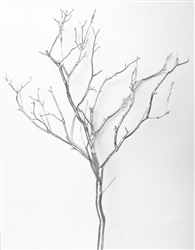 Silver Metallic Manzanita Branches, 18"-24"