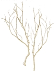 8 Sandblasted Manzanita Fillers, 24 inch (shipping included!)