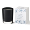 Niven Morgan ~ Costa Rica Fern & Orchid Candle