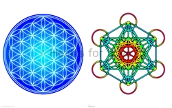 CS-42 Flower of Life (Blue) / Metatron's Cube