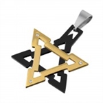 GB-SD-gem Stainless Steel Two Tone Gold & Black Rhodium Star of David Crystal Charm Pendant with Chain