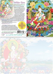 GC-33 White Tara Greeting Card