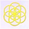18k Gold Plated Seed of Life Healing Grid