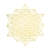 18k gold plated Hexagonal Star Grid