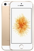 iPhone SE 16GB Gold MDM