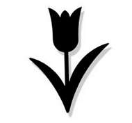 Tulip Black Metal Magnet