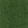 RJR Danscapes Naturals 1422-001 Half Yard