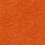 RJR The Jinny Beyer Palette  4730-002 Half Yard