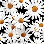 Benartex Bloom with a View Daisy Dream Black 8231-12 Half yard