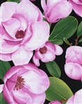 Timeless Treasures Flora Large Flowers FLORA-C1071-Pink Half Yard