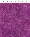 Clothworks Basic Swirl  Y1293-45 Half Yard