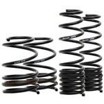 Swift Spec R Springs 17-20 Tesla Model 3 (RWD)