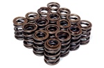 Blox Valve Springs For Honda K-Series Dohc I-Vtec (K20A - K24A-3)